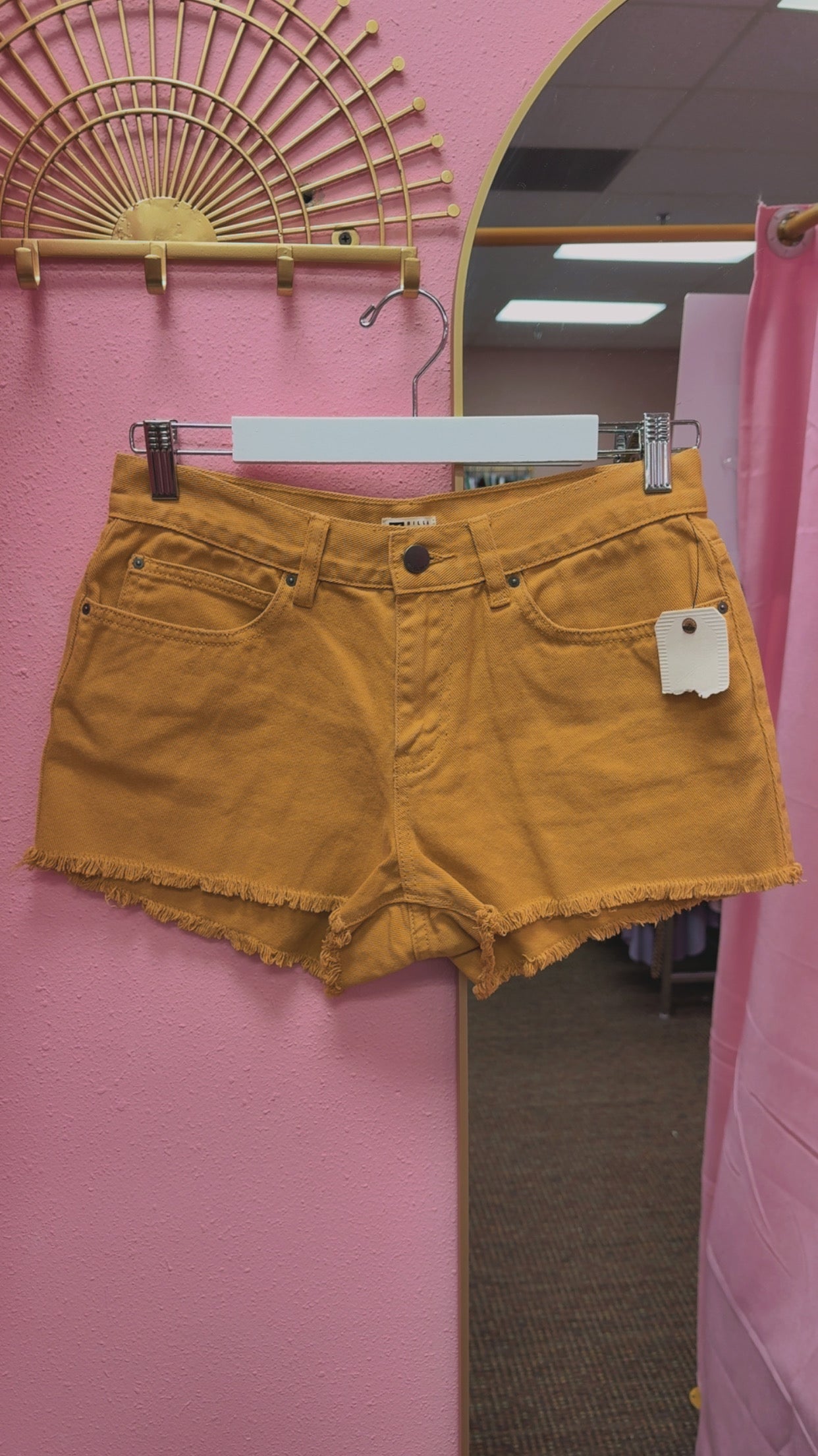 Billabong NEW WITH TAGS Shorts Size 26