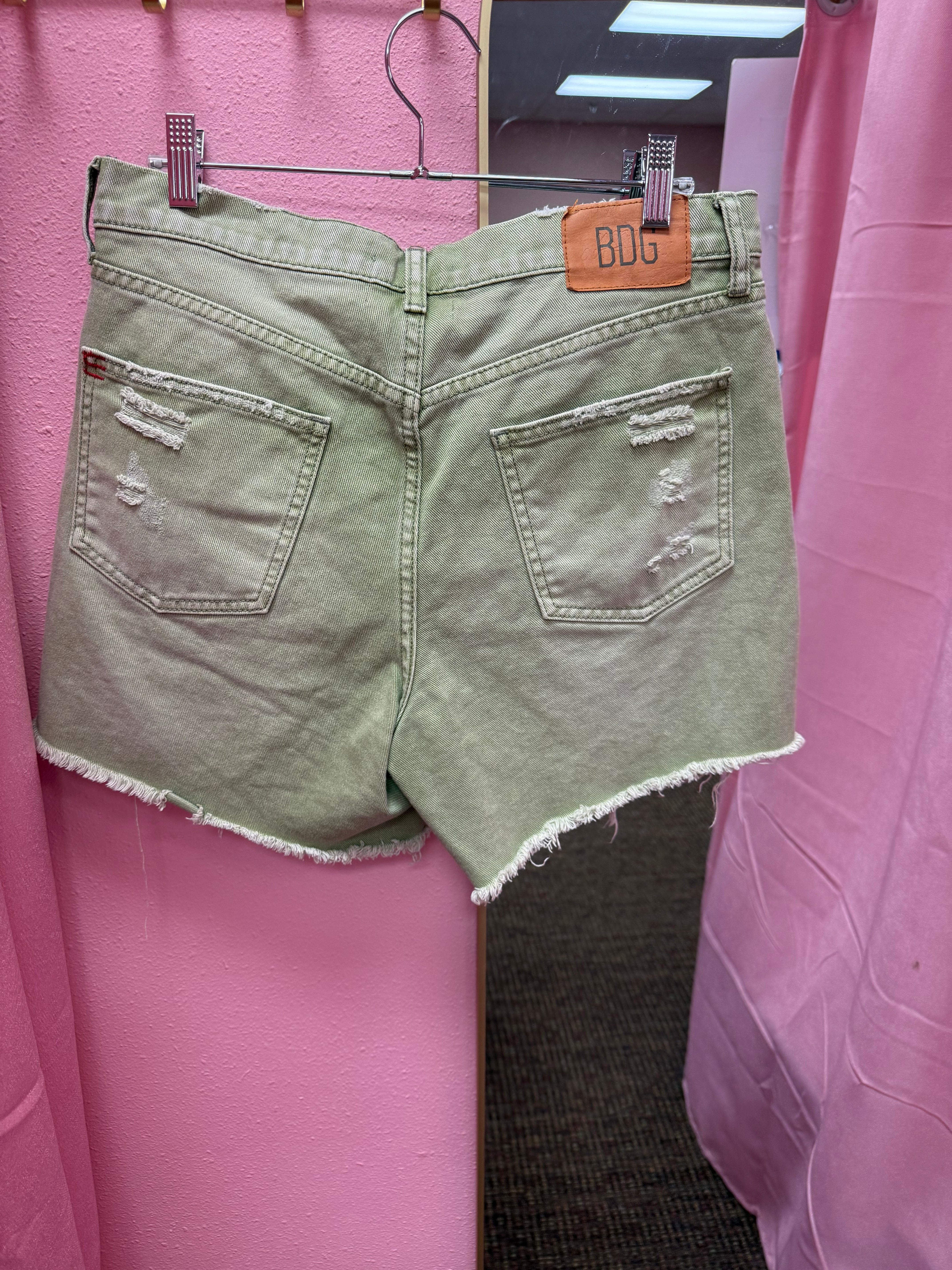 BDG Urban Outfitters Shorts Size 28