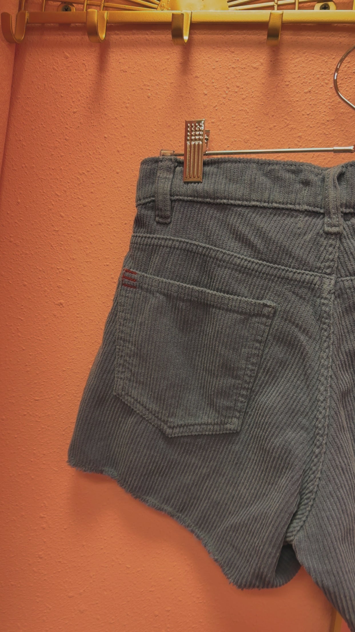 Urban Outfitters BDG Corduroy Shorts Size 24