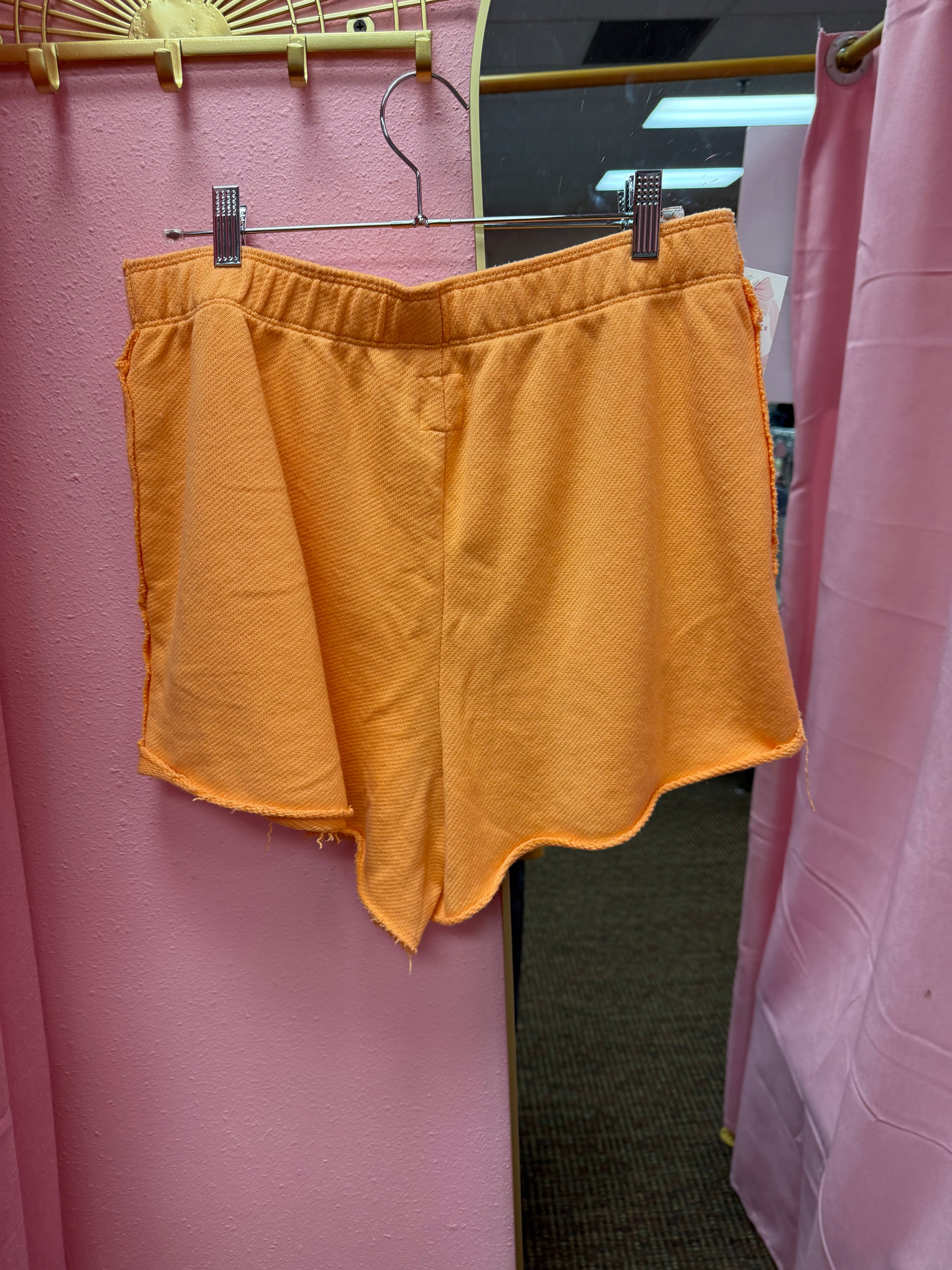 Aerie Sweat Shorts Large