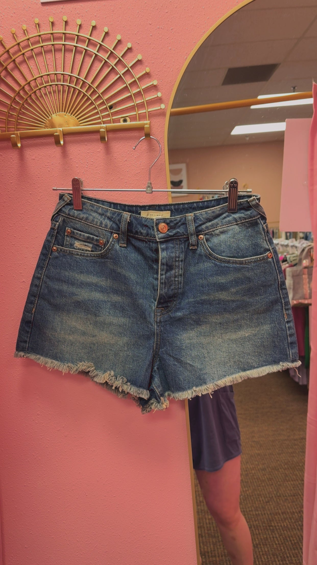 Cleo + Wolf Shorts Size 28