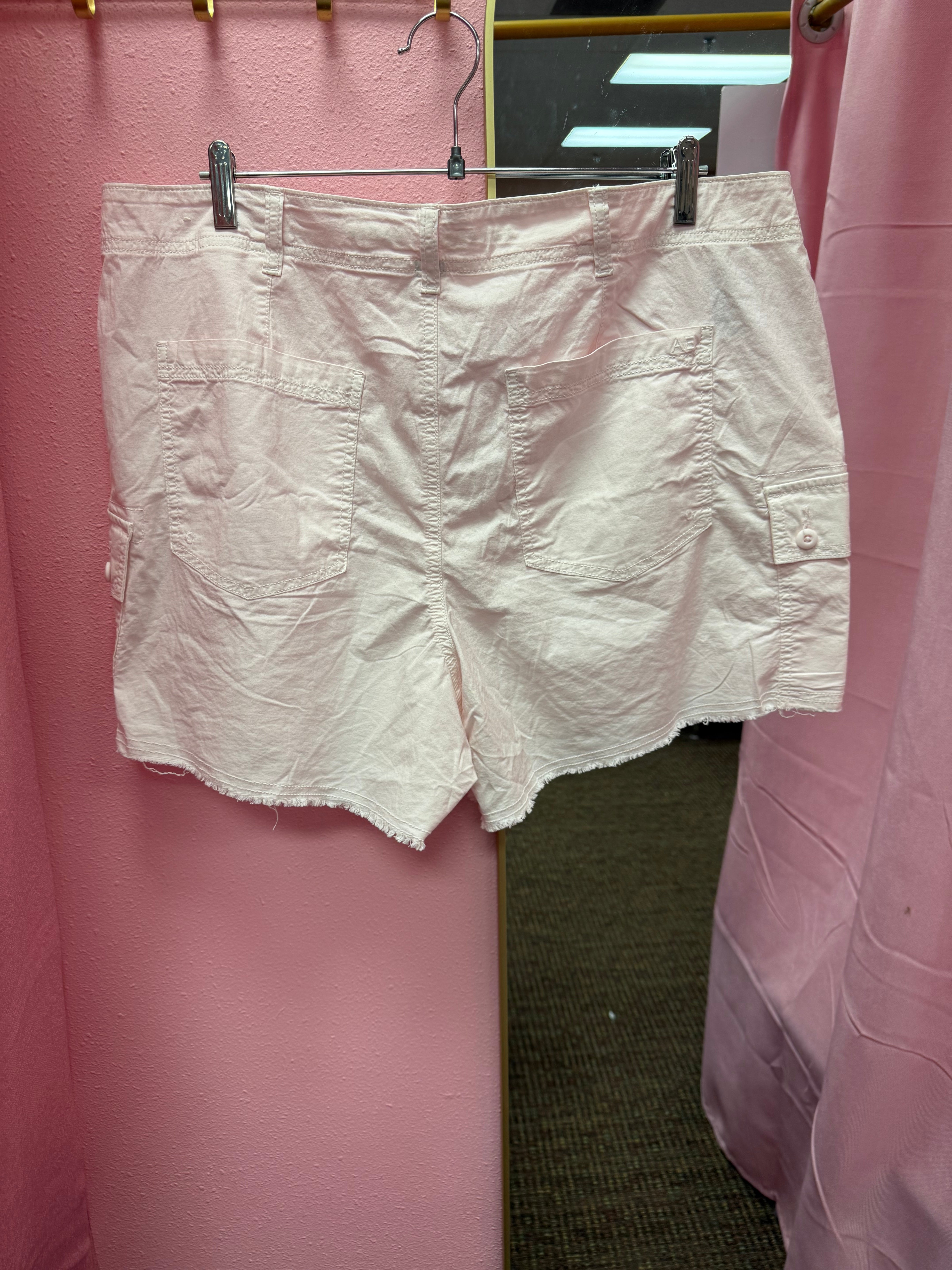 American Eagle Shorts Size 18 NWT