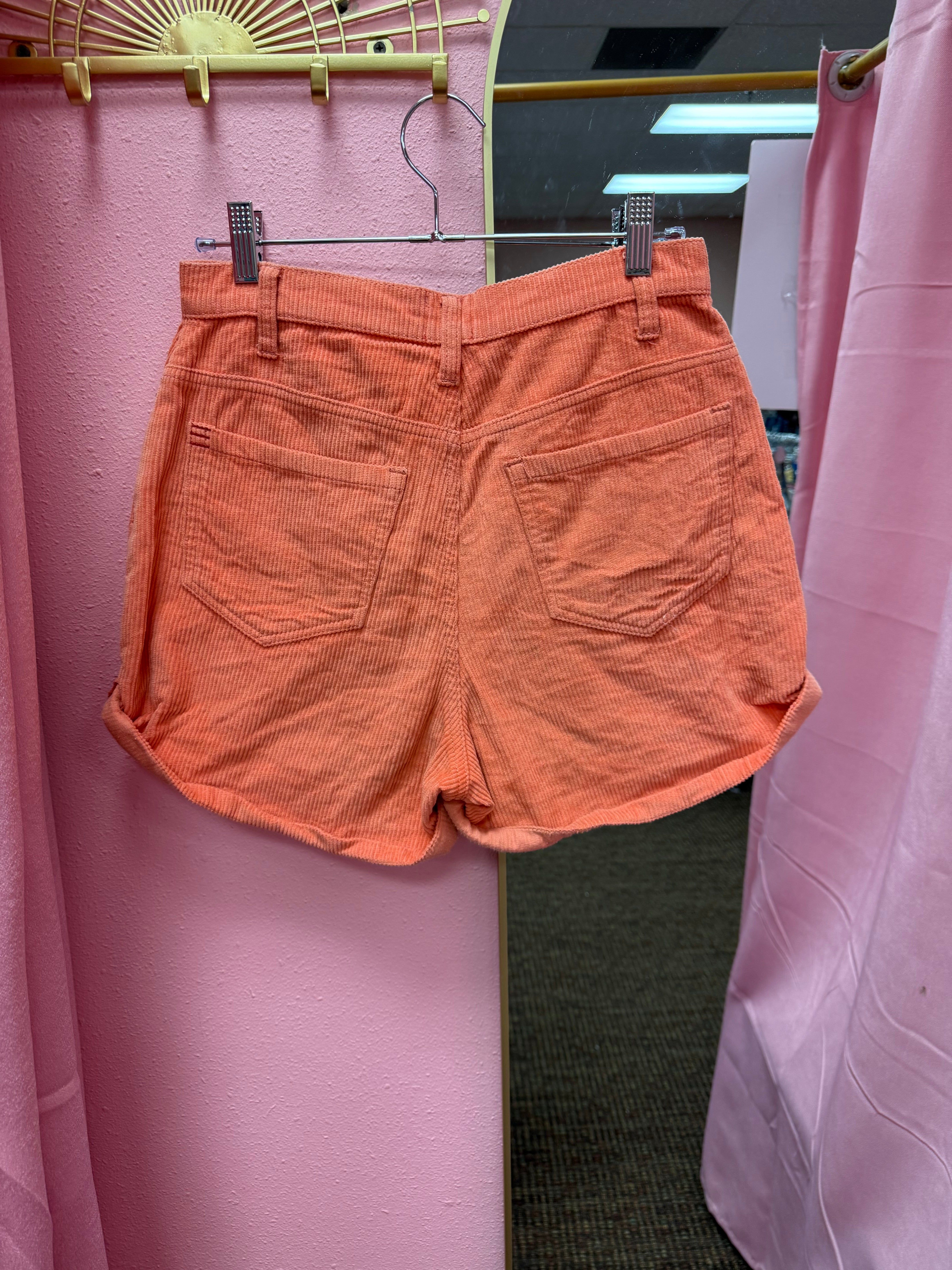 Urban Outfitters BDG Shorts Size 27