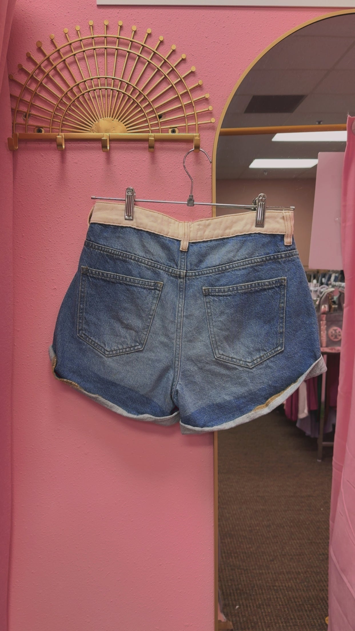 PacSun Color Block Mom Shorts Size 25