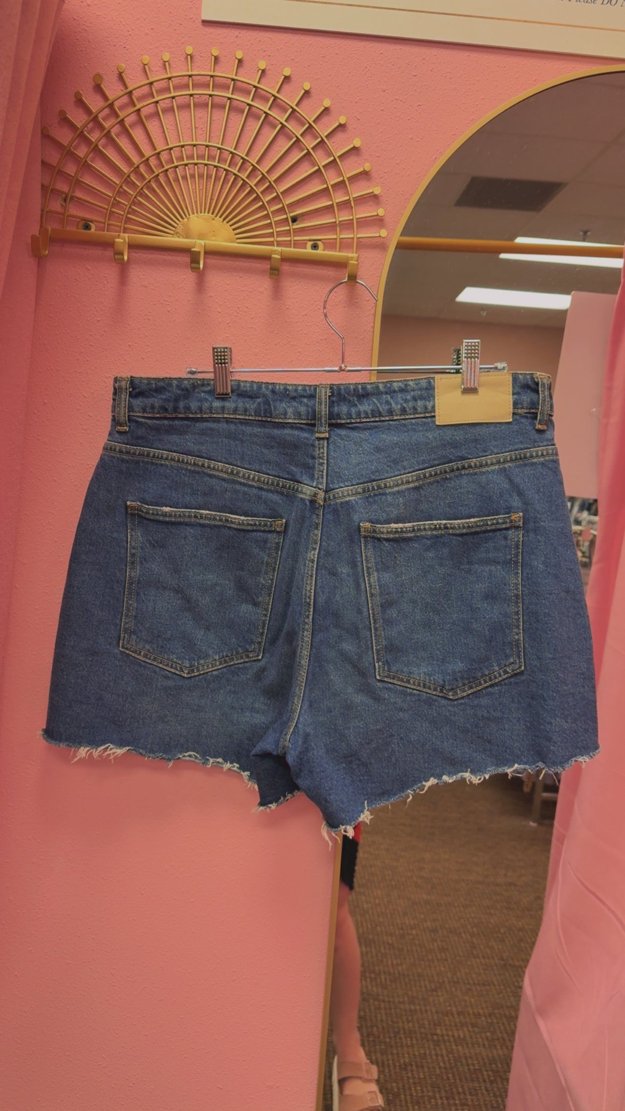 Zara High Rise Dark Wash Denim Shorts Size 10