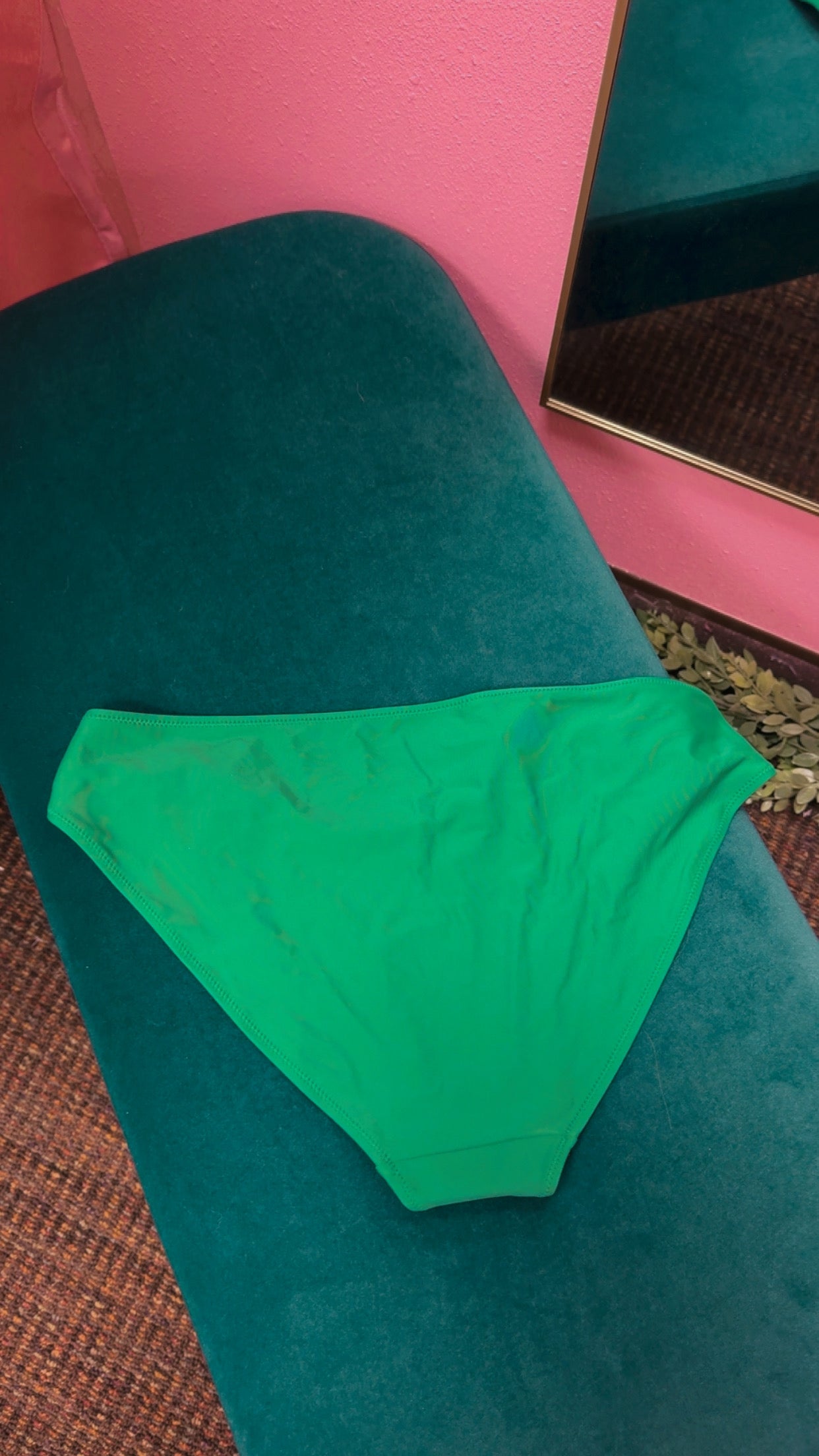 Aerie Swim Bottoms Size XL