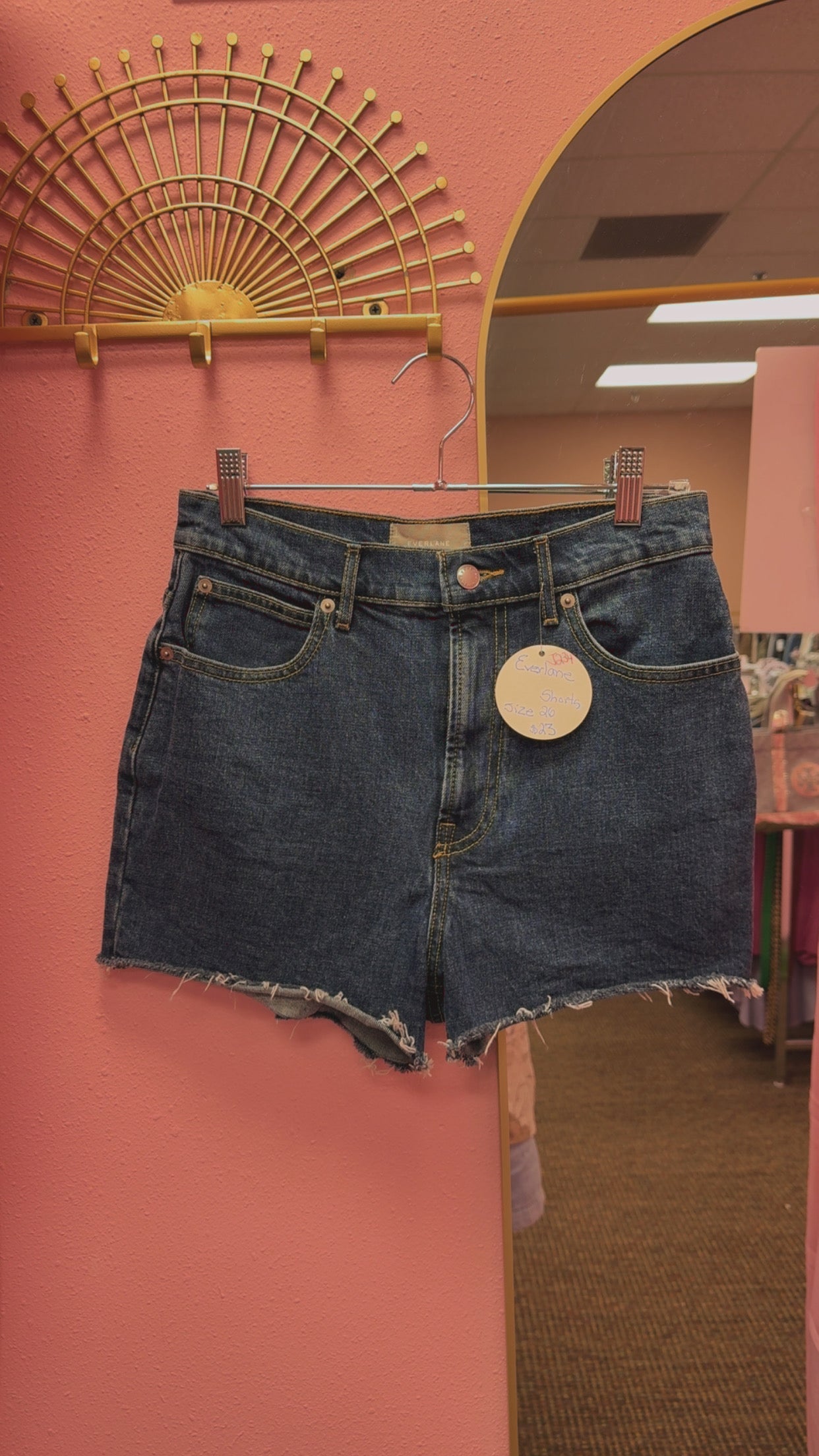 Everlane “The Way High Denim Short” Size 26