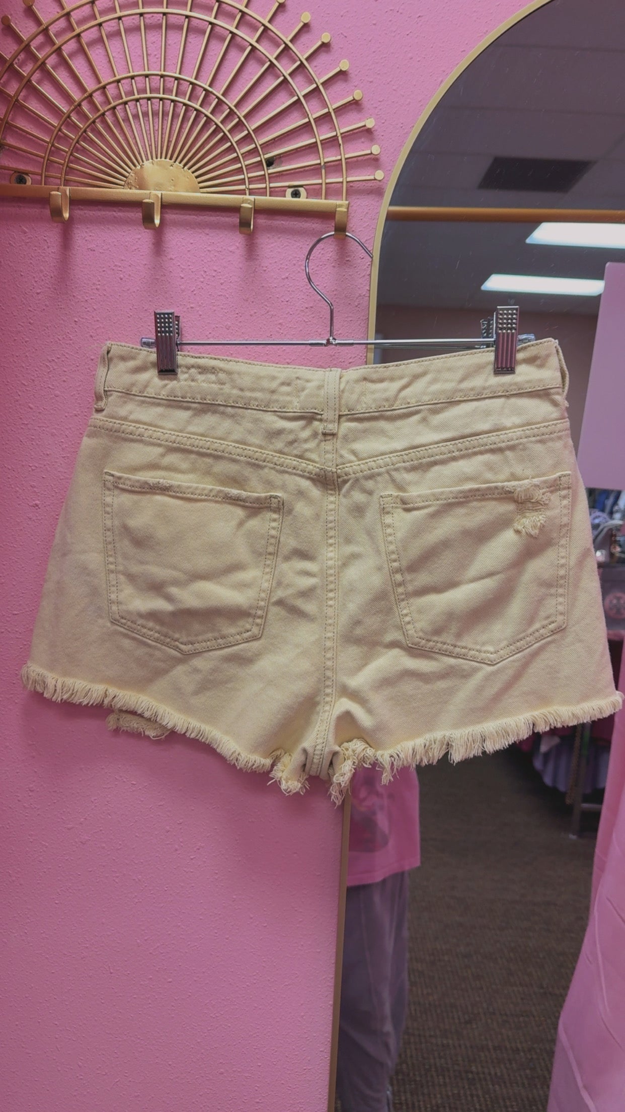 PacSun Mom Shorts Size 29