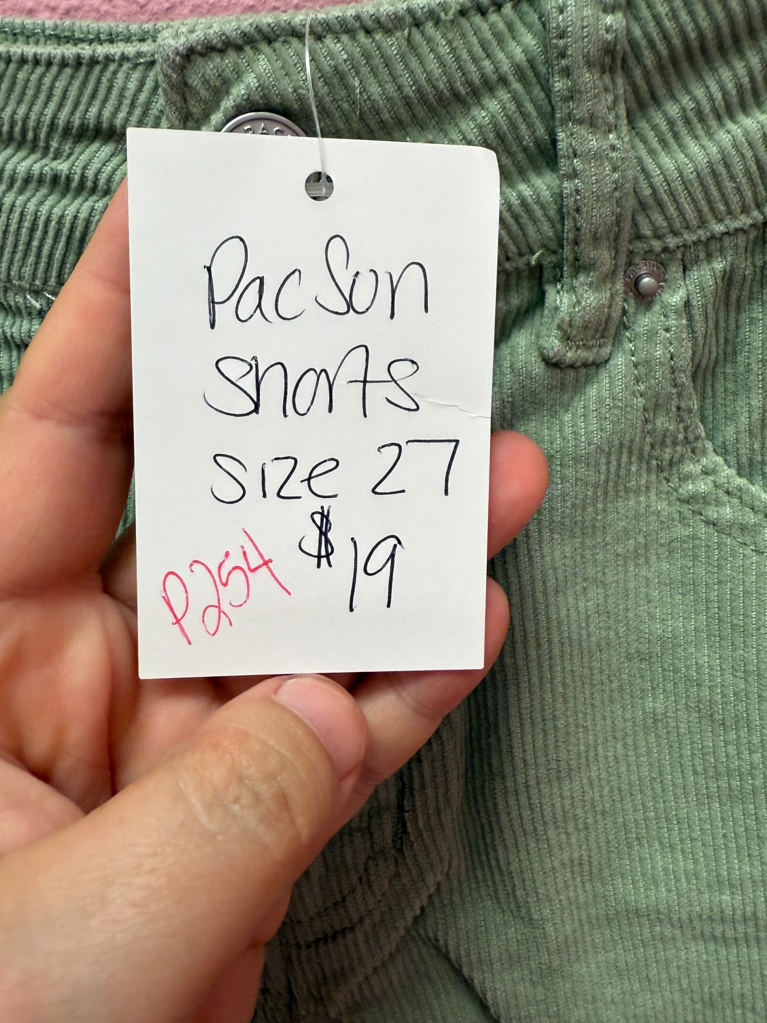 Pacsun Shorts Size 27