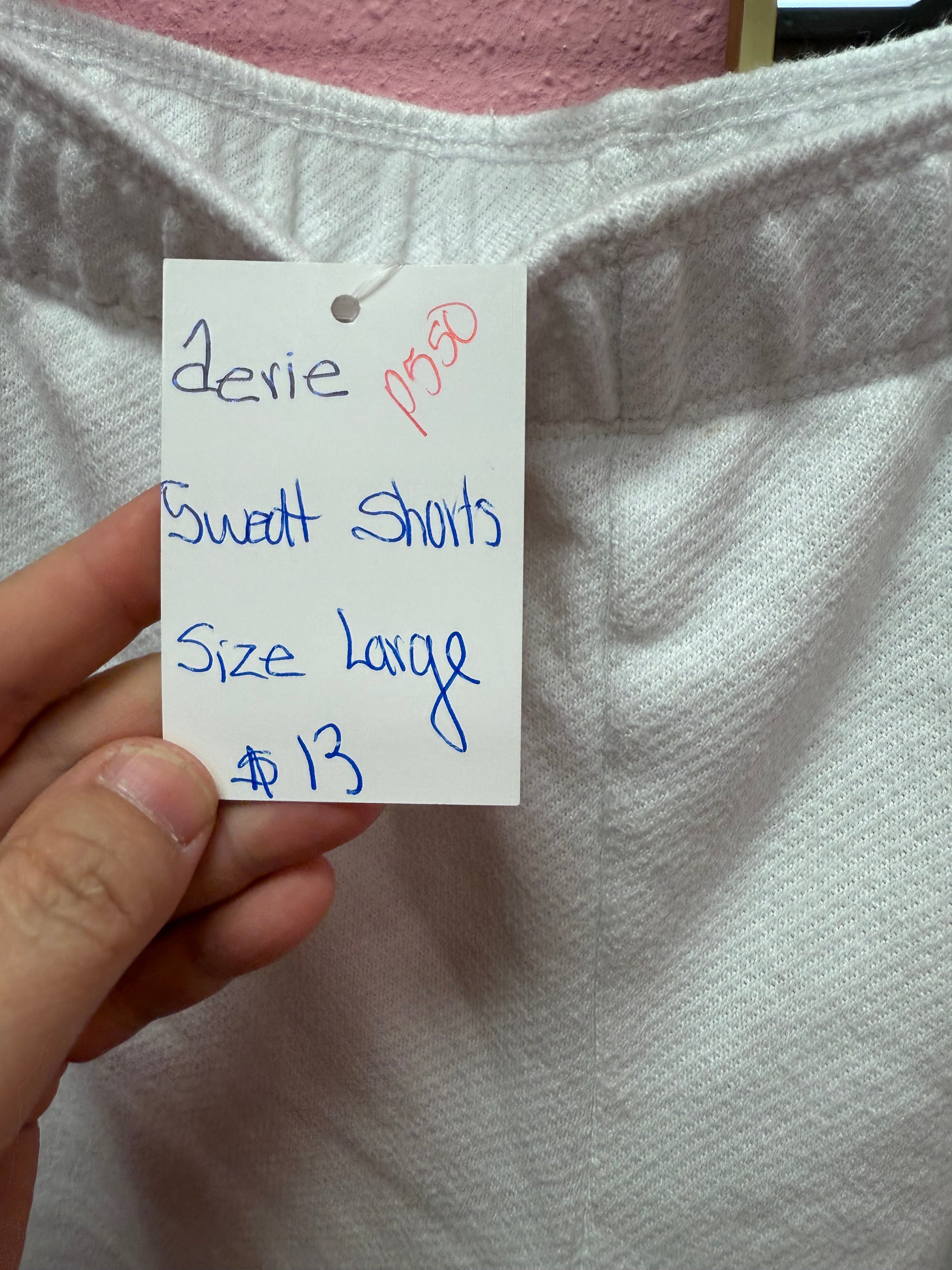 Aerie Sweat Shorts Large