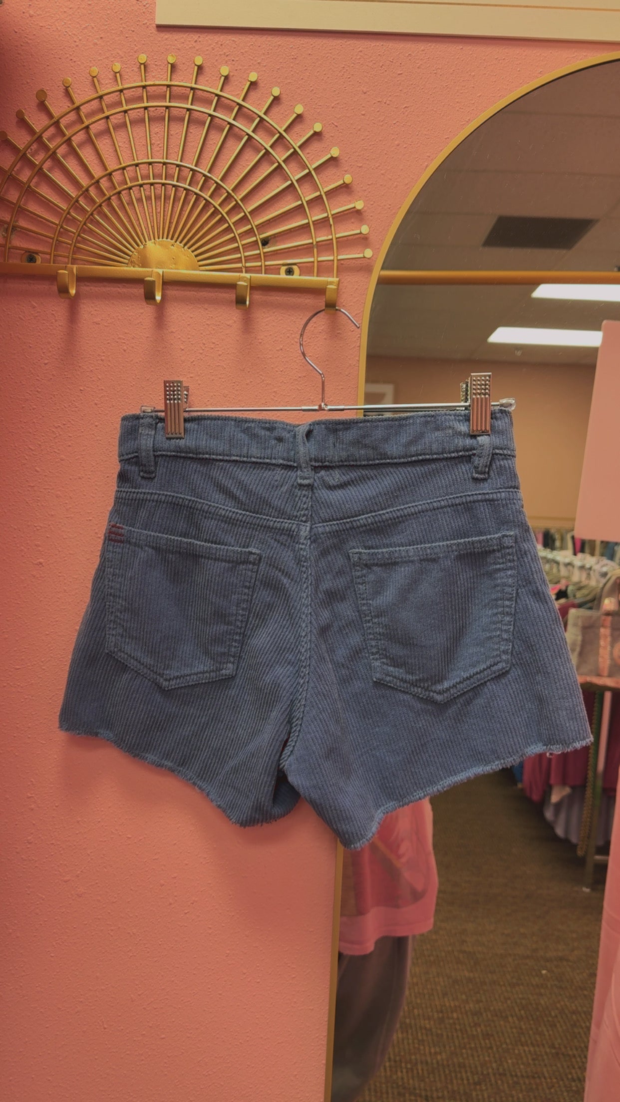 Urban Outfitters BDG Corduroy Shorts Size 24