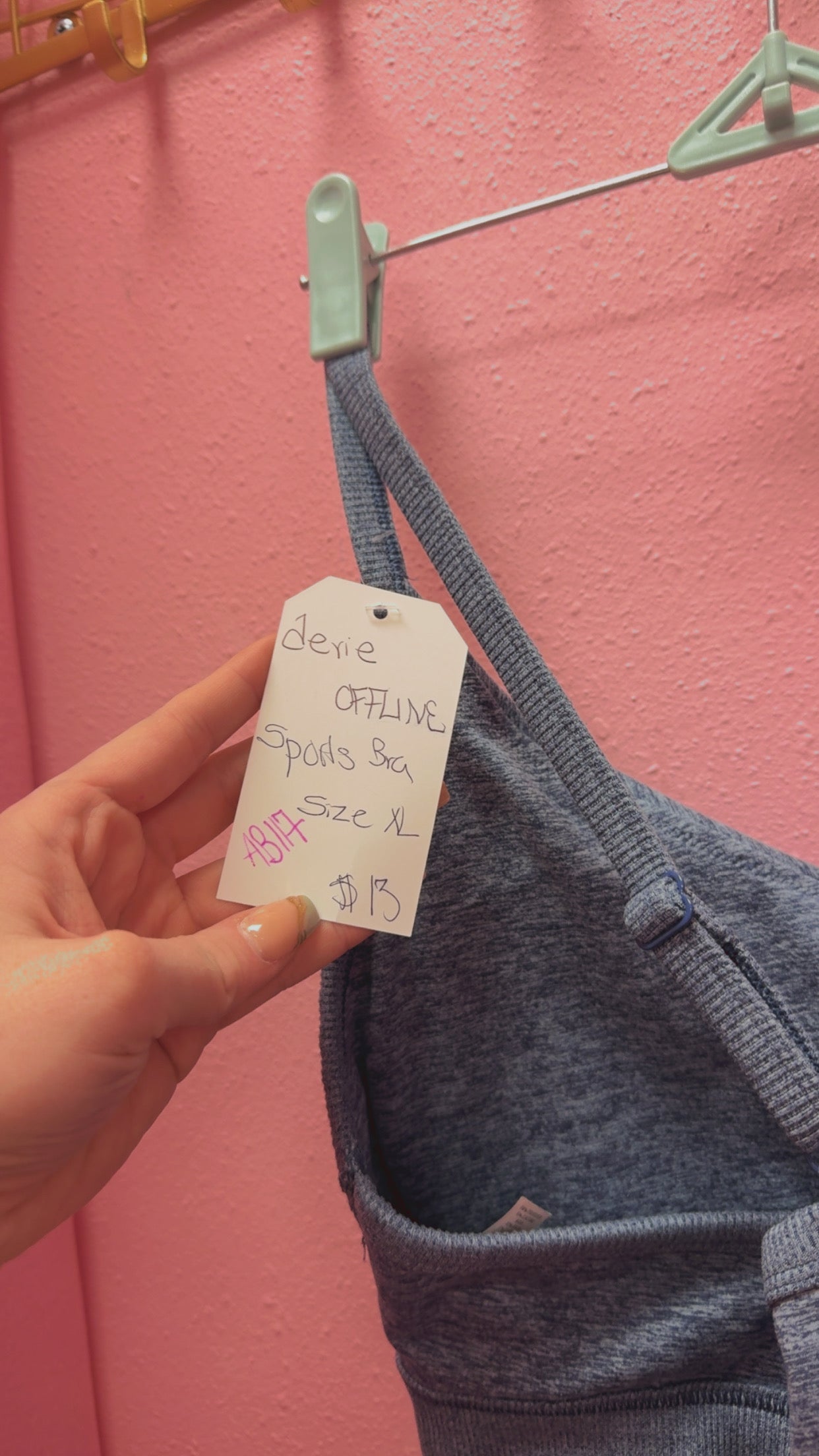 Aerie OFFLINE Sports Bra Size XL