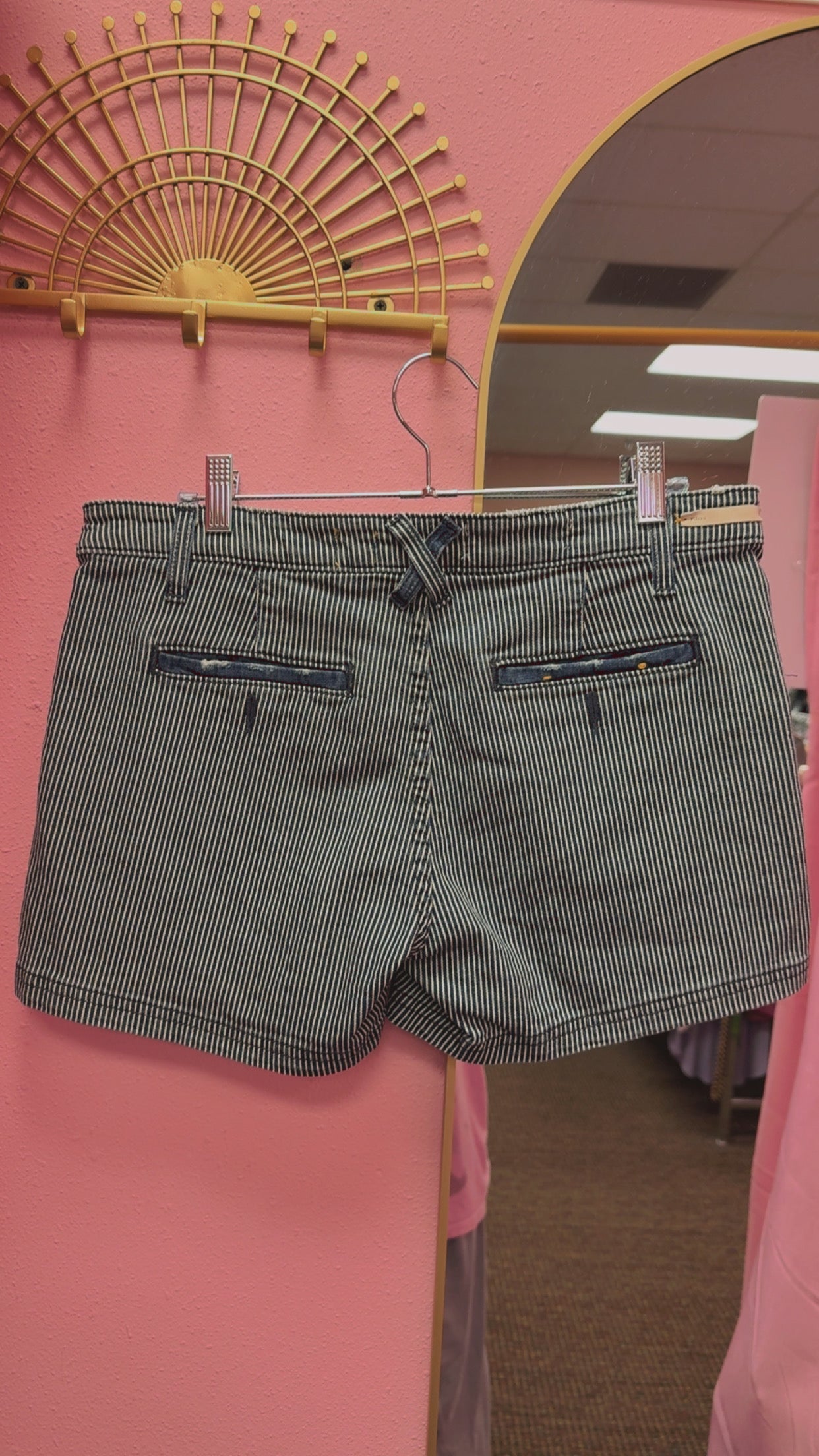 Anthropologie Pilcro & The Letterpress Shorts Size 29