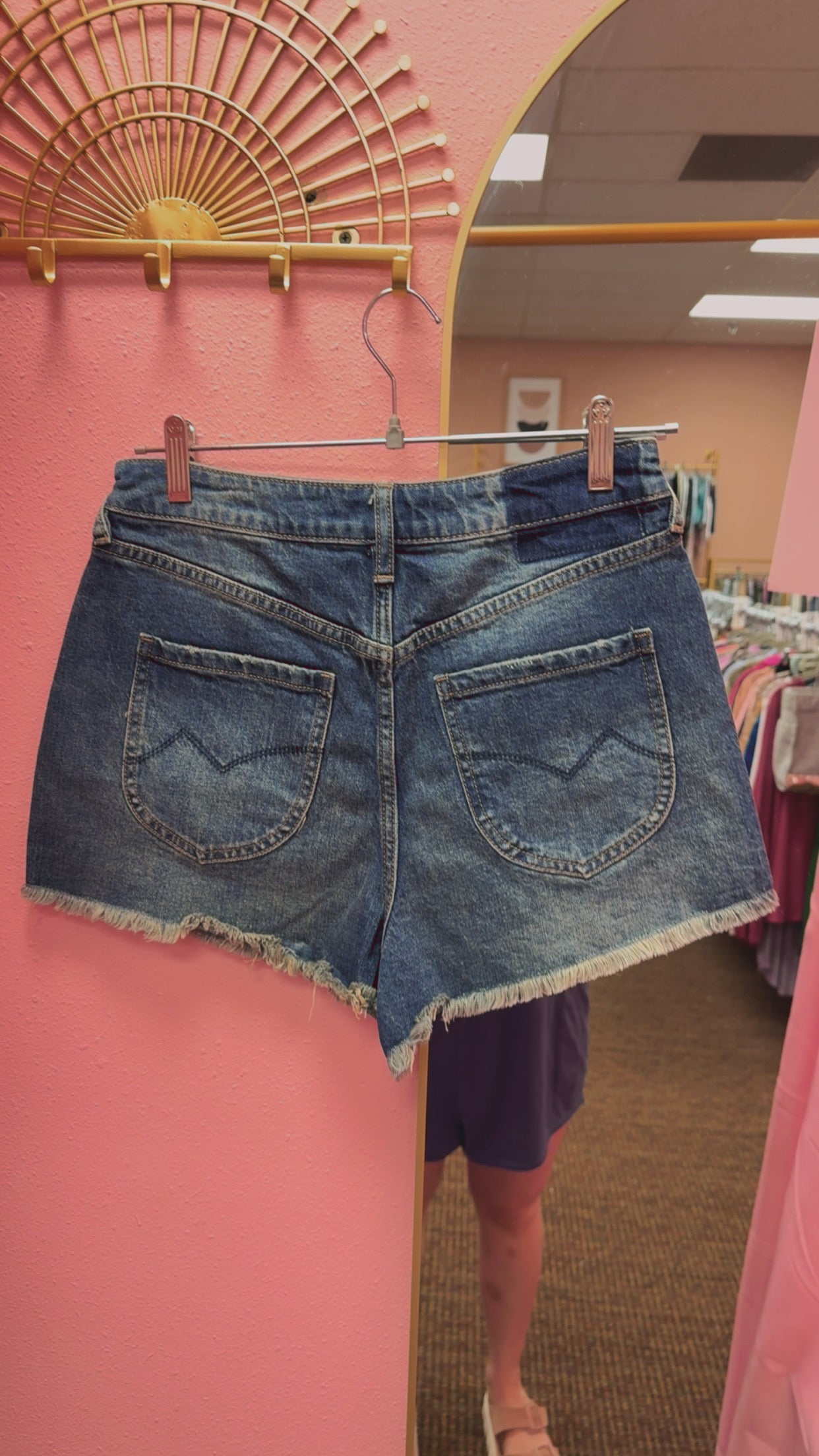 Cleo + Wolf Shorts Size 28