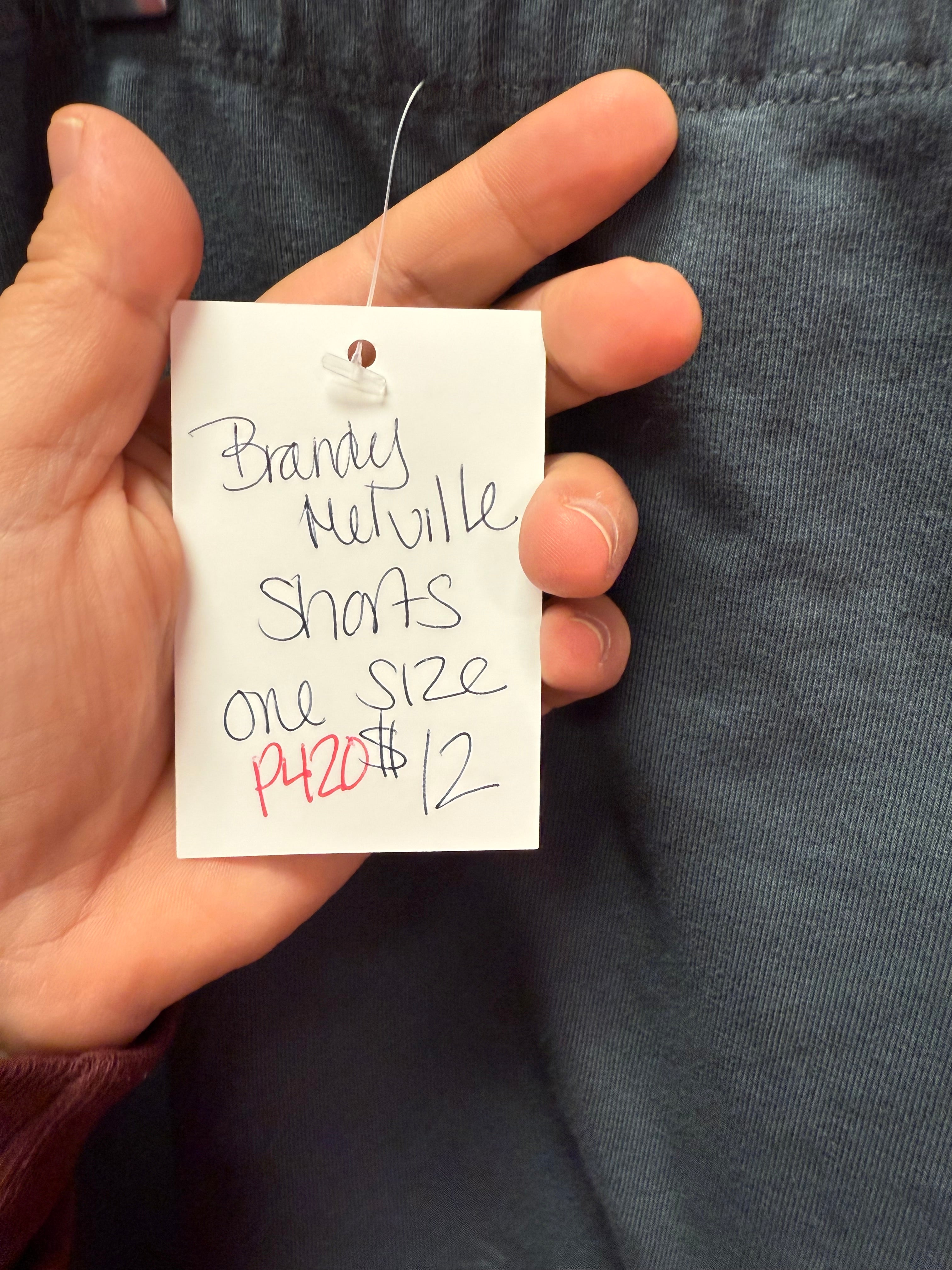 Brandy Melville Shorts One Size
