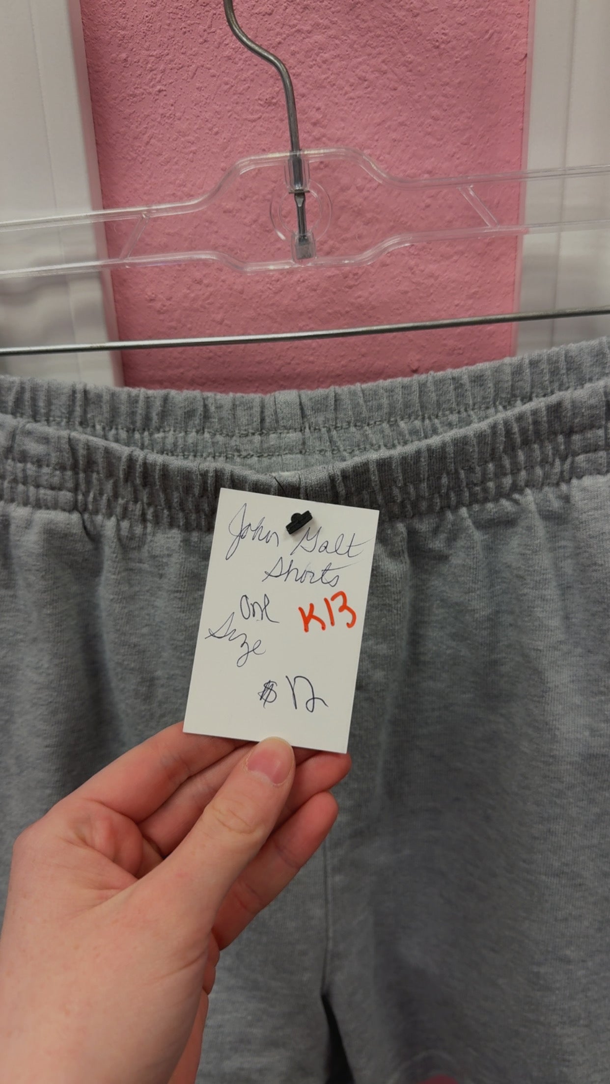 Brandy Melville John Galt Shorts One Size