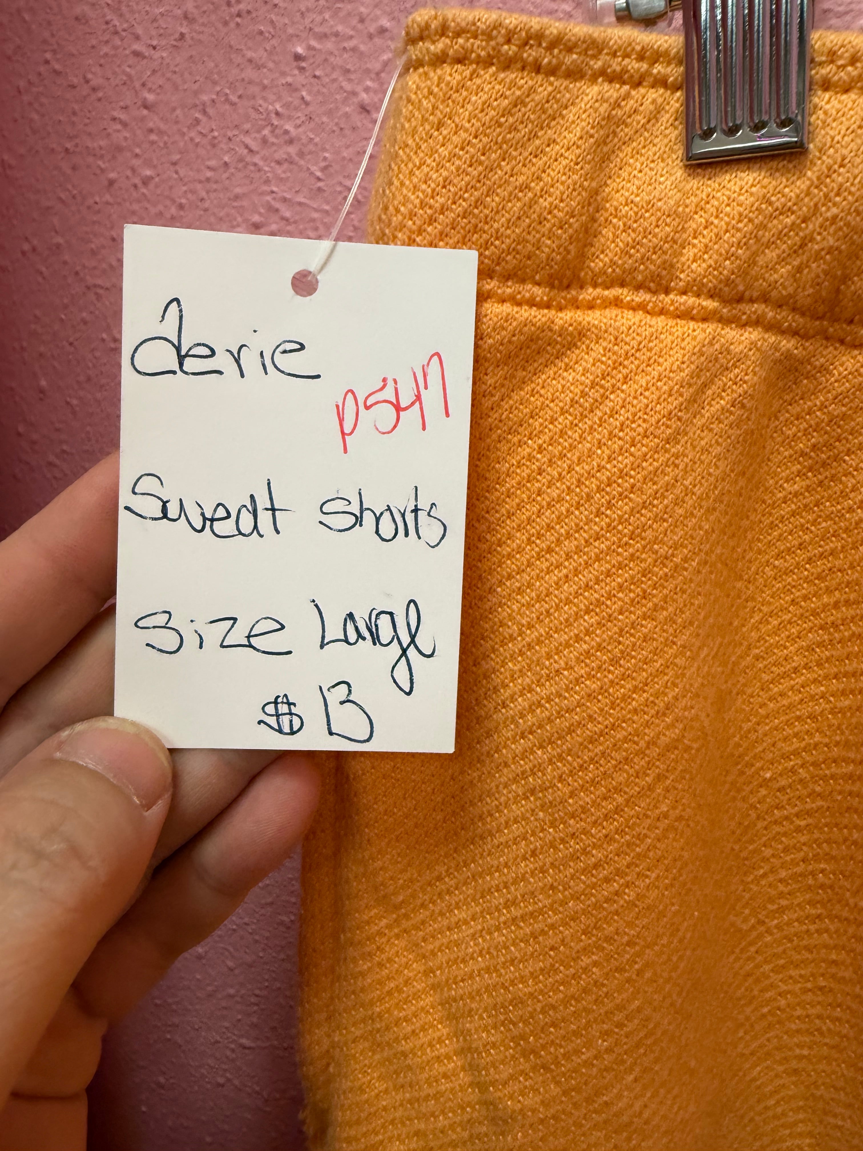 Aerie Sweat Shorts Large